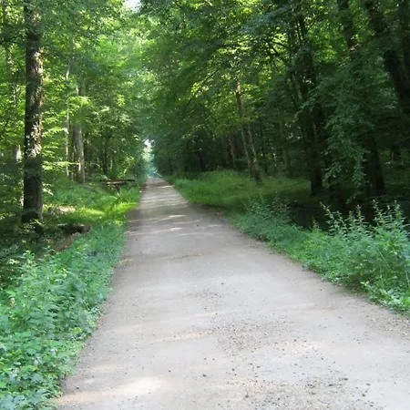 Charmante Fermette Au Pres De La Foret De Troncais, 2 Chambres, Animaux Acceptes, Linge Inclus - Fr-1-489-311 Holiday home *