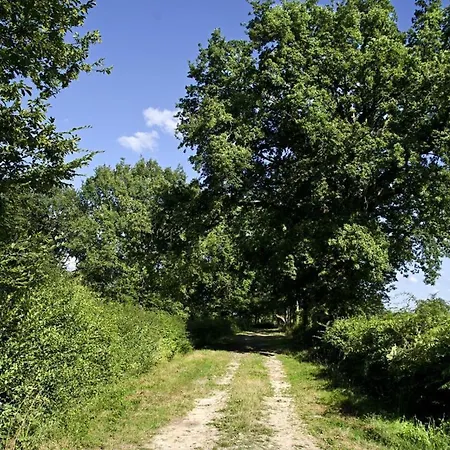 Holiday home Charmante Fermette Au Pres De La Foret De Troncais, 2 Chambres, Animaux Acceptes, Linge Inclus - Fr-1-489-311